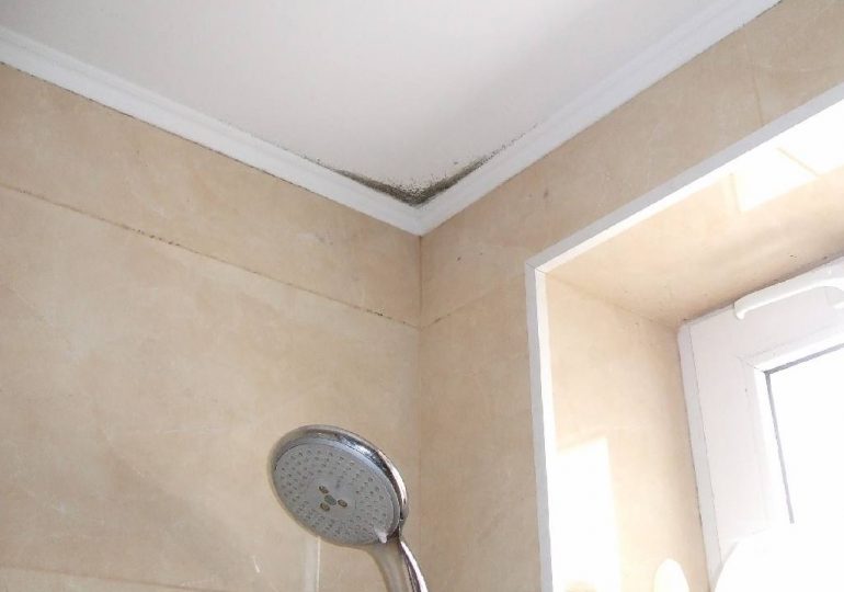 Почему не стоит делать гипсокартонный потолок в ванной?